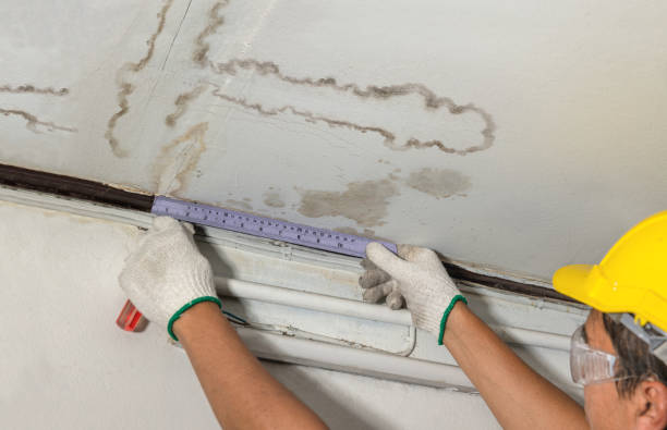 Reliable Structural Drying contractor in Sargent, TX by Water Damage Irwin